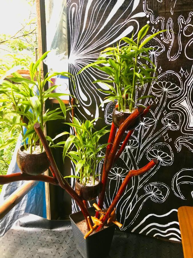 Noname Hostel And Cafe เอลลา ภายนอก รูปภาพ